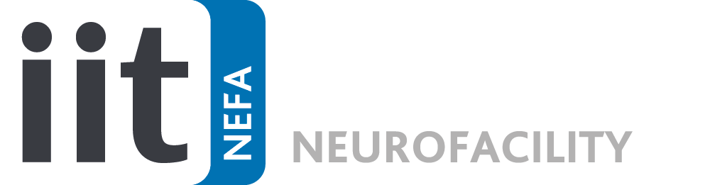 IIT